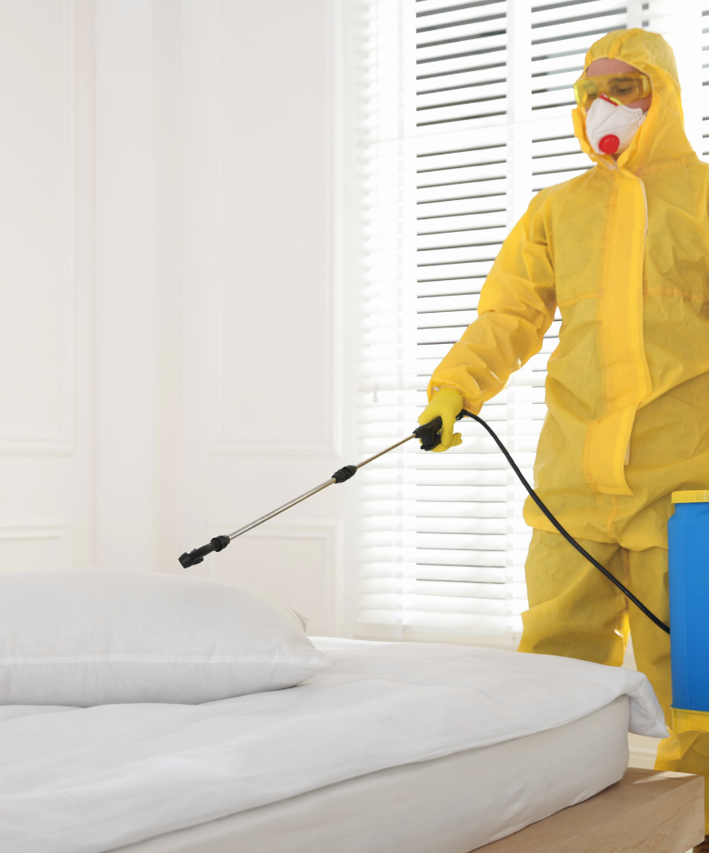 Professional Pest Control Team in Windsor Gardens